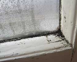 condensatie in huis raam schimmel