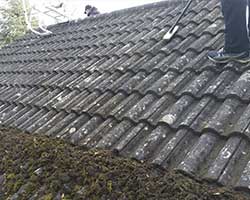 dakpannen reinigen, dakpannen mosgroei verwijderen